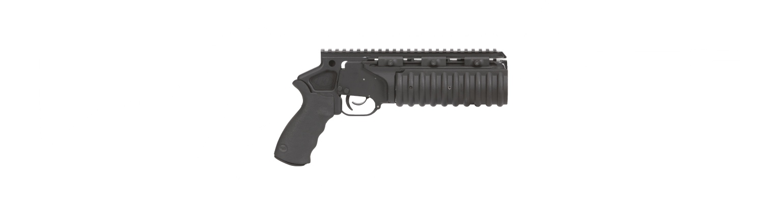L2XPG-2.png